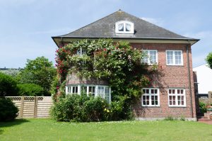 Roses in front of a house withe windows