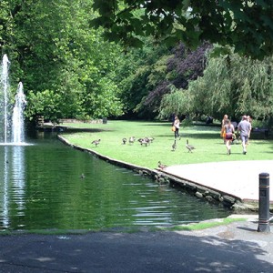 Maidenhead with stream grass and geese