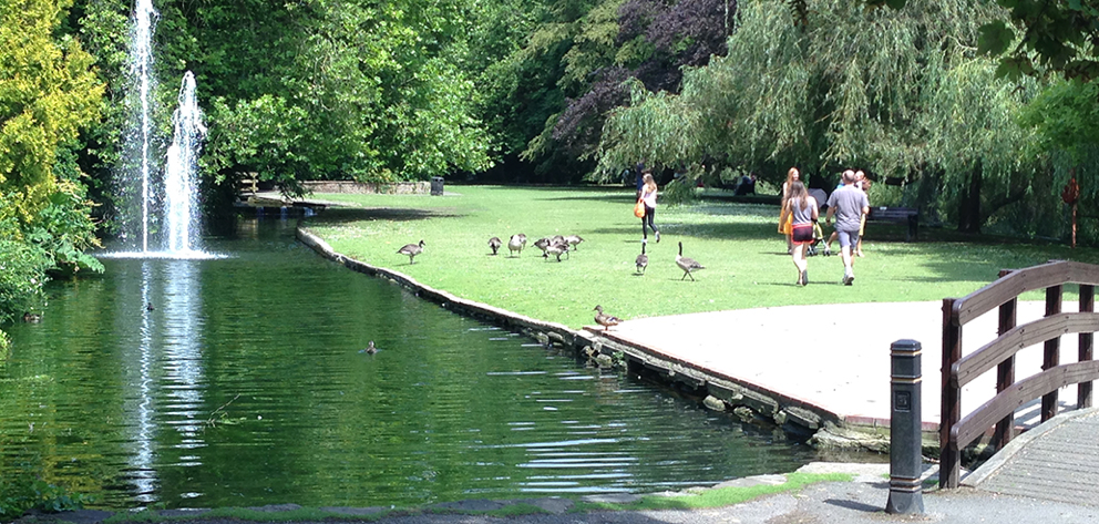Maidenhead boulters Lock with ducks, stream, green and people